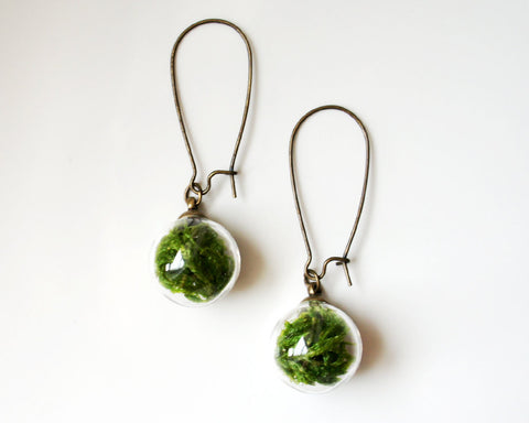Glass Globe Moss Earrings