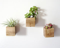 Set of 3 Magnetic Wooden Planters